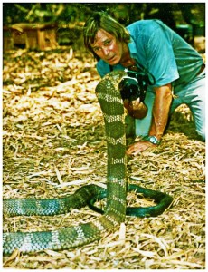 Austin Stevens mit einer Königs Kobra